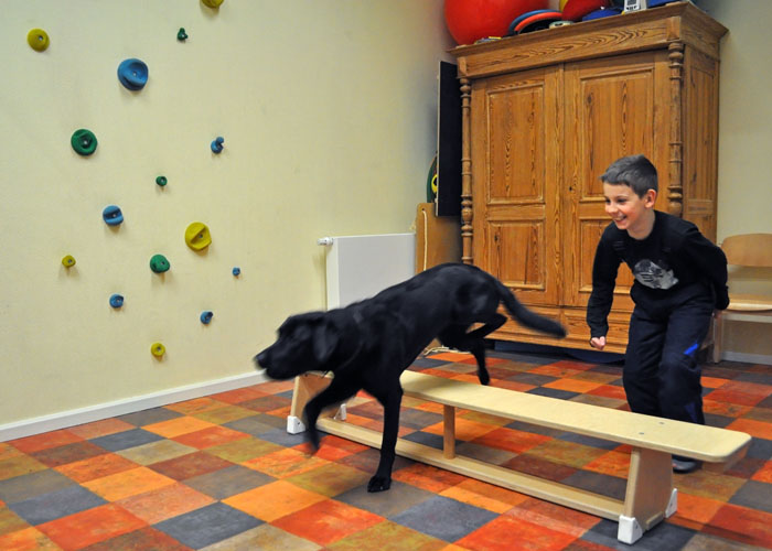 tiergestützte Therapie tiergestützte Therapie